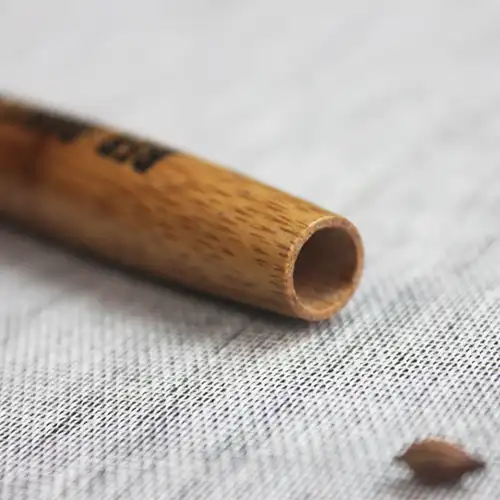 Bolígrafo o bolígrafo